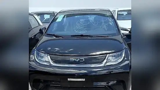Foto de um byd dolphin