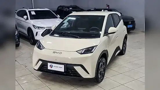 Foto de um byd dolphin