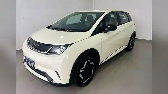 Foto de um byd dolphin