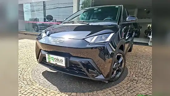 Foto de um byd dolphin