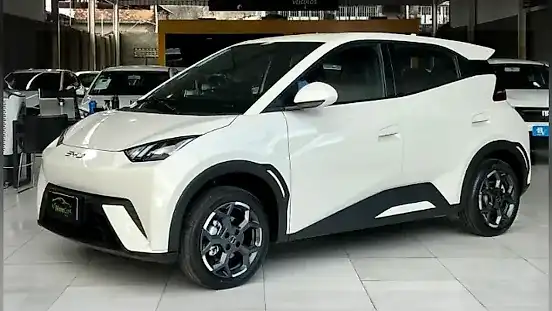 Foto de um byd dolphin mini