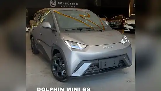 Foto de um byd dolphin