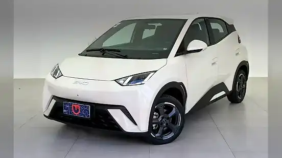 Foto de um byd dolphin mini