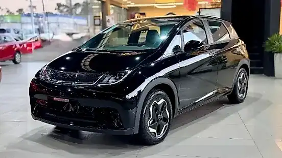 Foto de um byd dolphin