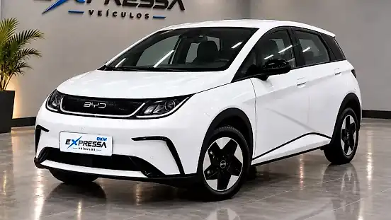 Foto de um byd dolphin
