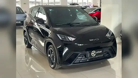 Foto de um byd dolphin