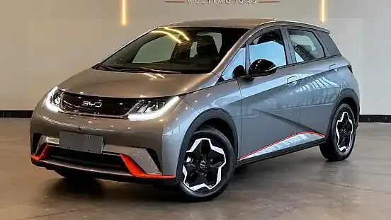 Foto de um byd dolphin