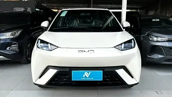 Foto de um byd dolphin mini