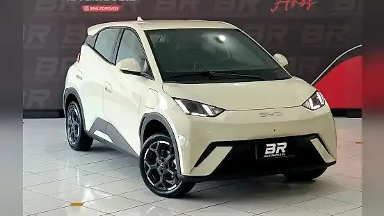 Foto de um byd dolphin