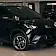 byd dolphin mini