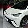 byd dolphin mini
