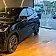 byd dolphin mini