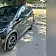 byd dolphin mini
