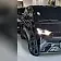 byd dolphin mini