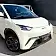 byd dolphin mini