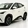 byd dolphin mini