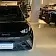 byd dolphin mini