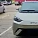 byd dolphin mini