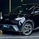 byd dolphin mini
