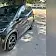 byd dolphin mini