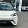 byd dolphin mini