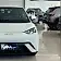 byd dolphin mini