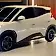 byd dolphin mini