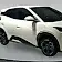 byd dolphin mini