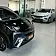 byd dolphin mini