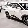 byd dolphin mini