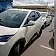 byd dolphin mini