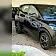 byd dolphin mini