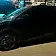 byd dolphin mini