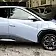 byd dolphin mini