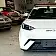 byd dolphin mini