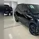 byd dolphin mini