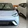 byd dolphin mini