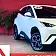 byd dolphin mini
