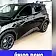 byd dolphin mini