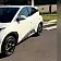 byd dolphin mini