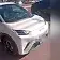 byd dolphin mini
