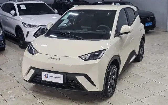byd dolphin mini