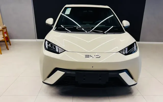 byd dolphin mini
