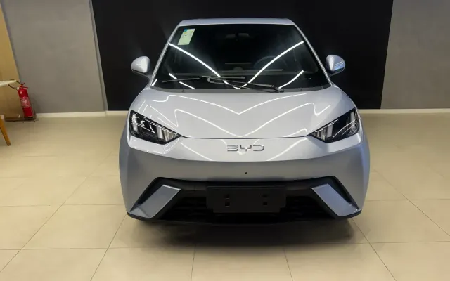 byd dolphin mini