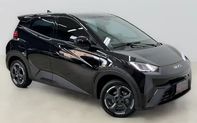 byd dolphin mini base