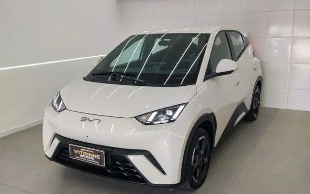 byd dolphin mini base