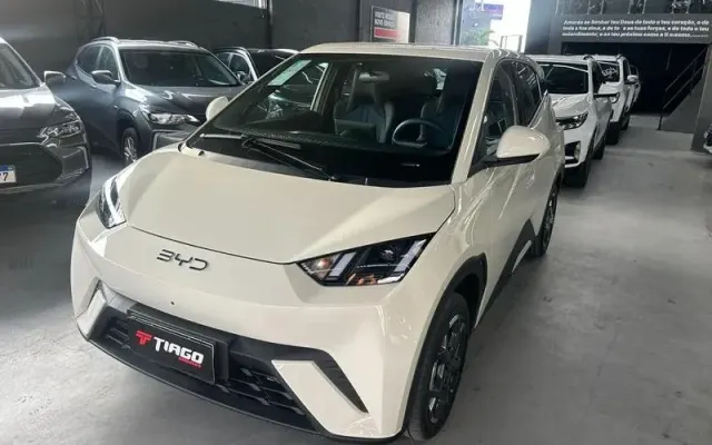 byd dolphin mini