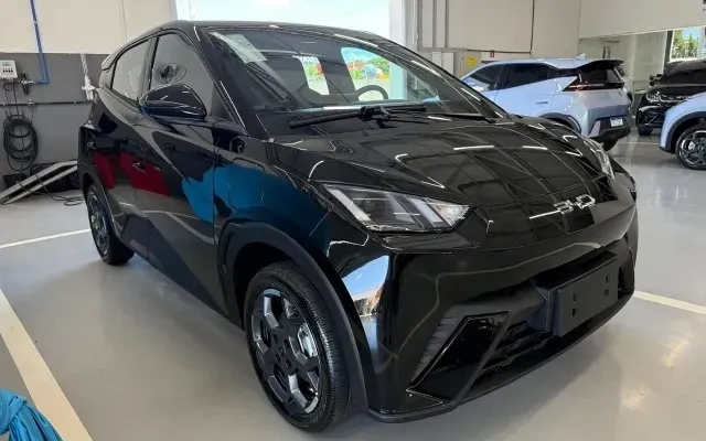 byd dolphin mini