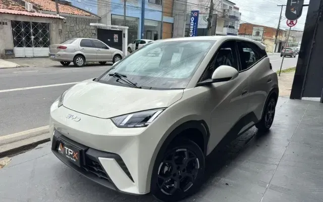 byd dolphin gs