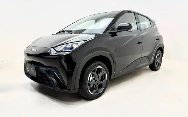 byd dolphin mini